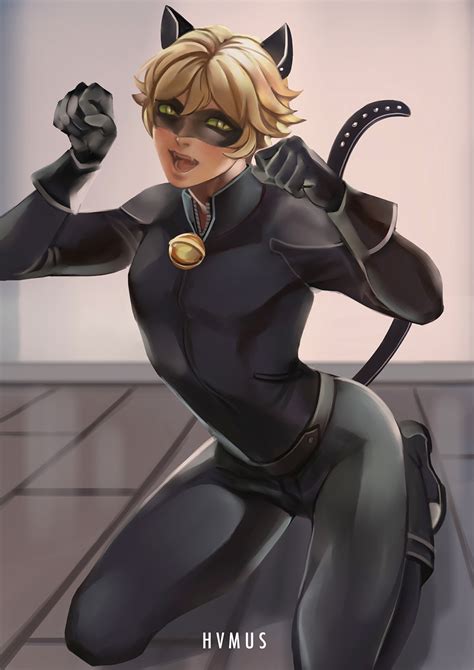 cat noir sexy|Miraculous Ladybug .